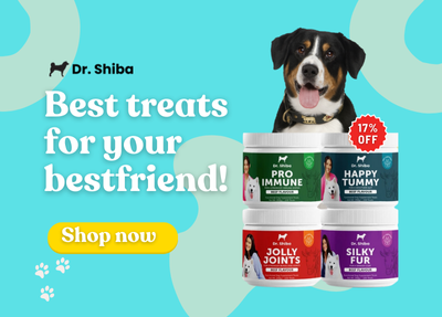 Dr Shiba shopee