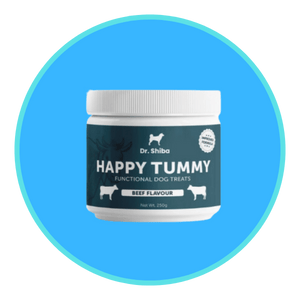 Dog vitamins dr shiba shopee