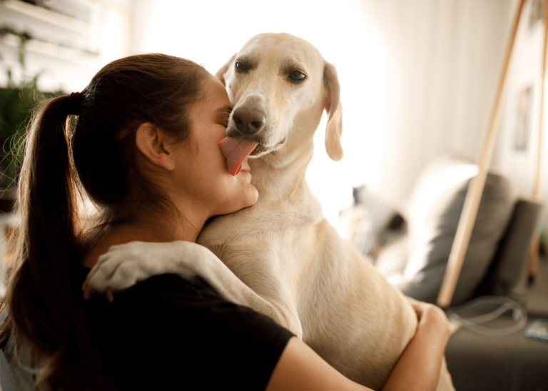 Dog licking pet owner