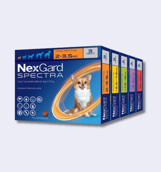 Nexgard Spectra Chewable