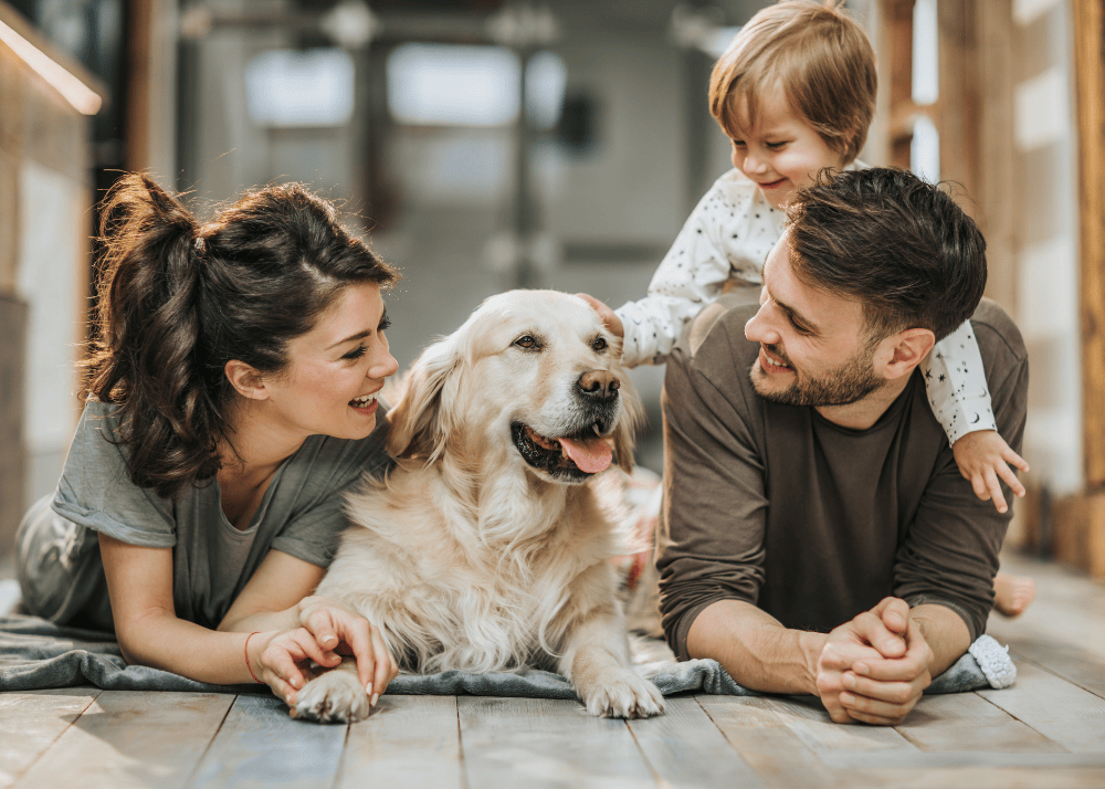 6 Best Dog Breeds for Families with Kids