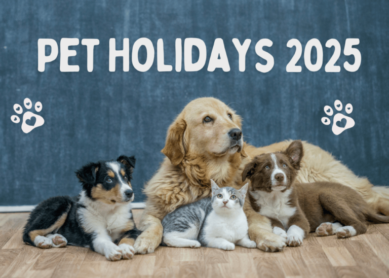 The Ultimate Pet Holidays To Celebrate in 2025